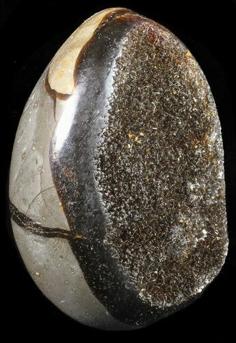 Septarian Dragon Egg Geode - Black Crystals #58800